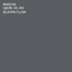 #595C60 - Scarpa Flow Color Image
